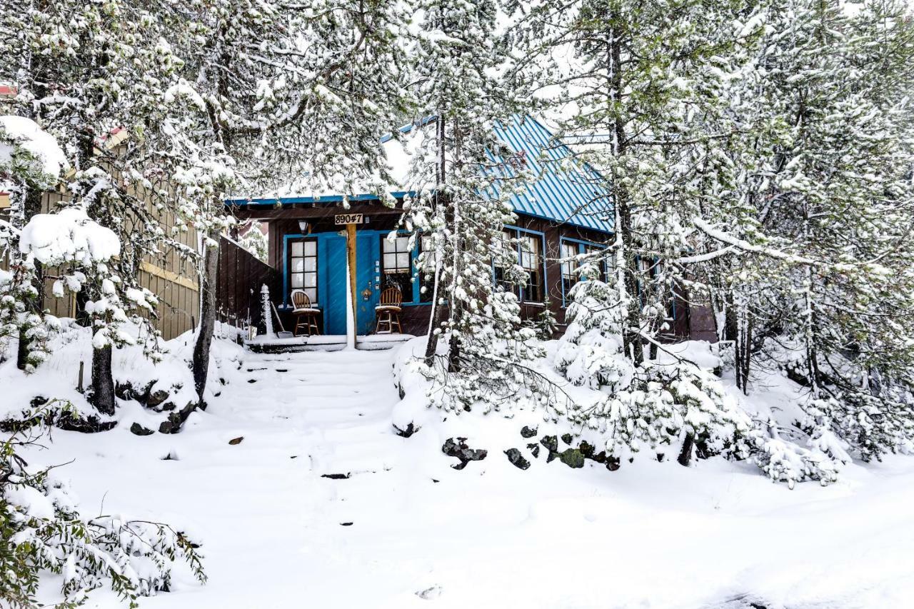 Flying Stag: Main Lodge Government Camp Εξωτερικό φωτογραφία